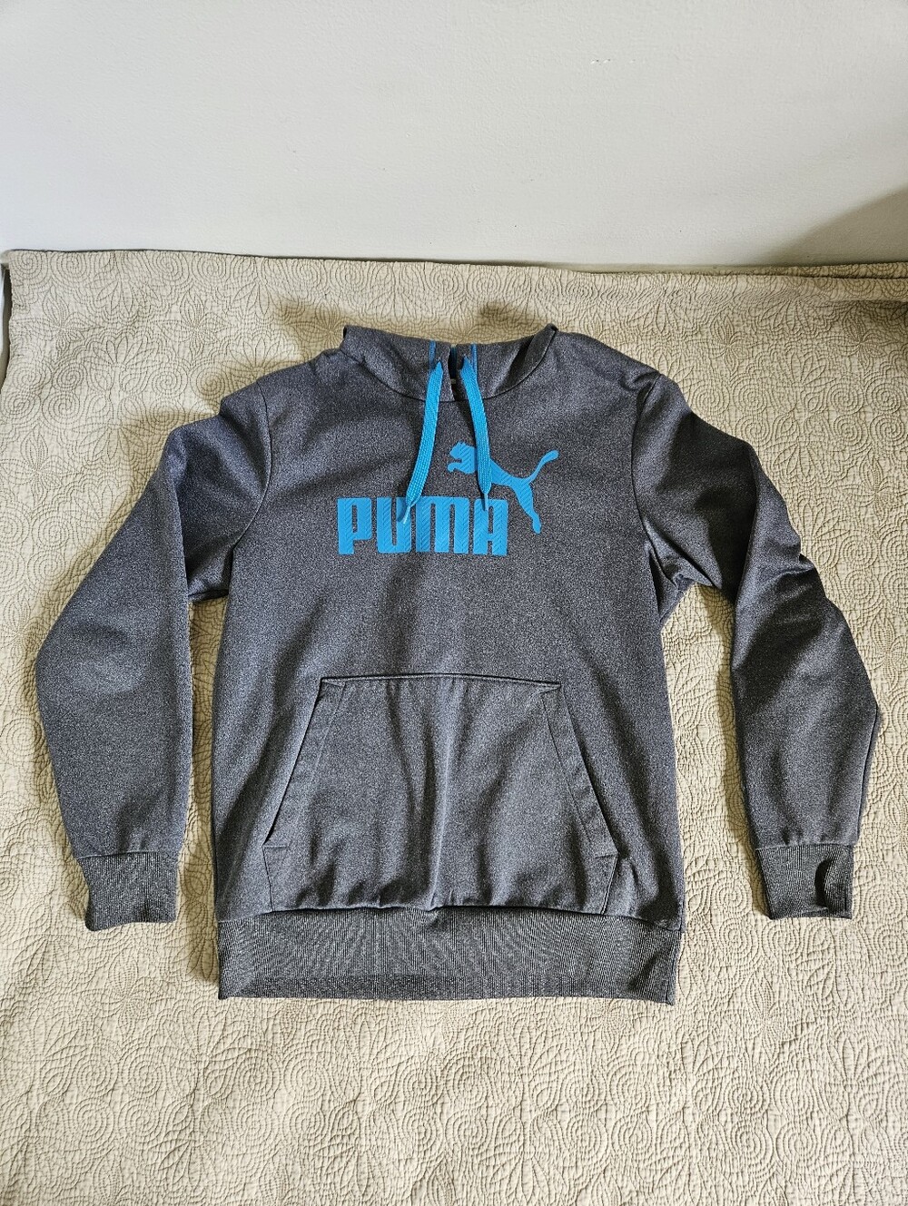 Puma Men's Medium Hoodie, Grey/Blue, Long Sleeve, Pullover